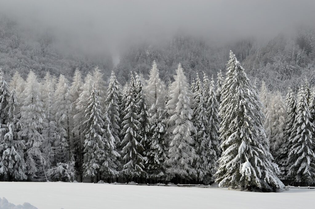 winter-1086583_1920